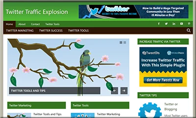 Pre-Designed Twitter Traffic Explosion Website