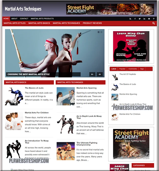 martial arts ready made website