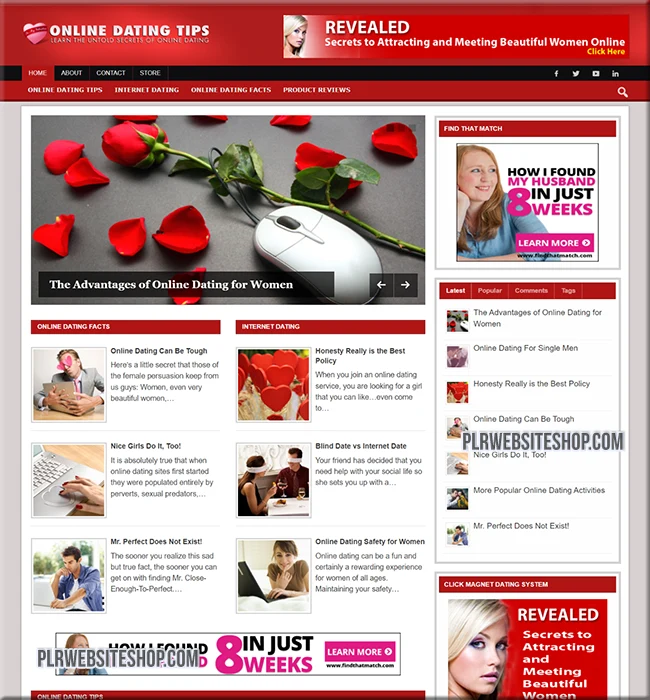 online dating ready made website