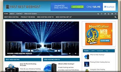 Ready Made Fast Webhosts Website with PLR Rights