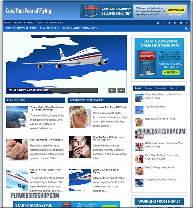 fear flying ready made website