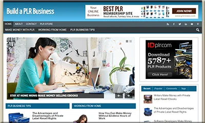 Pre-Designed PLR Business Affiliate Website