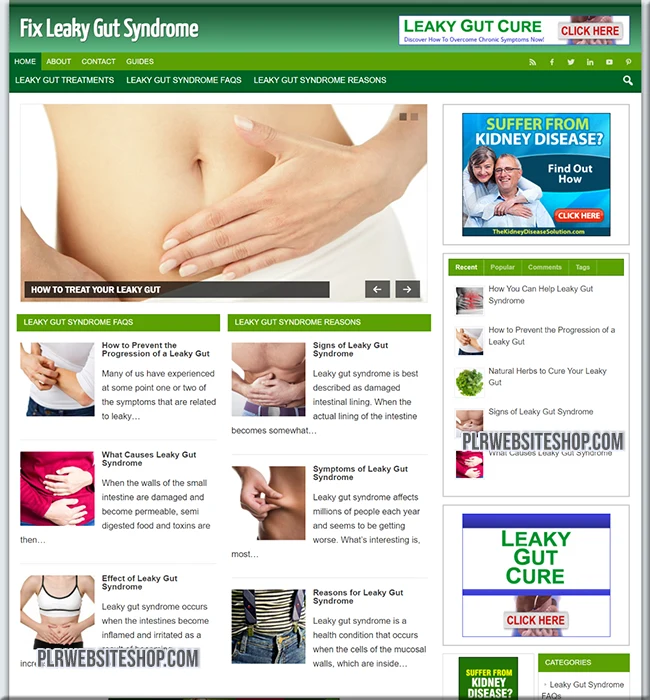 leaky gut ready made website