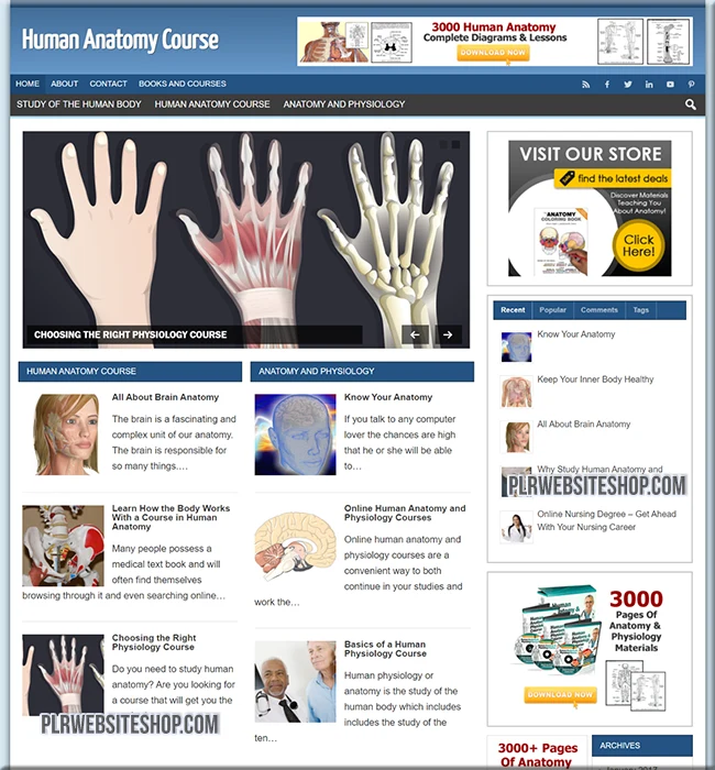 human anatomy ready made website