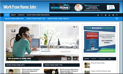 Work From Home Jobs Site PLR Package