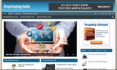 Readymade Dropshipping Guide PLR Site