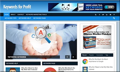 Ready Made Keywords Profit Website with PLR Rights