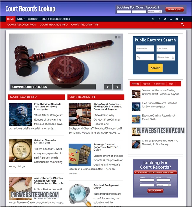 court records ready made website