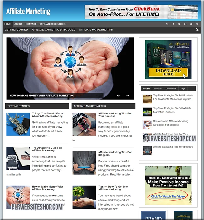 affiliate market ready made website