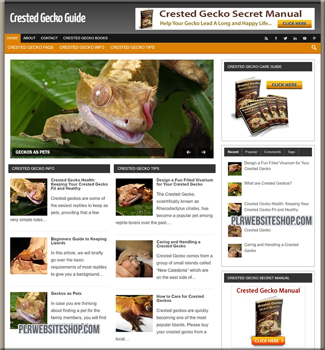 crested geckos ready made website