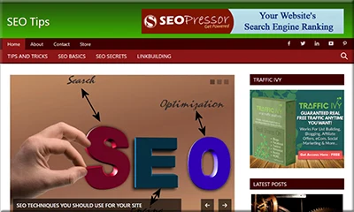 Ready Made SEO Guide Website with Attractive Design
