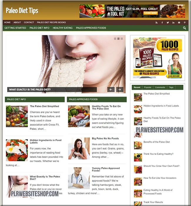 paleo diet ready made website